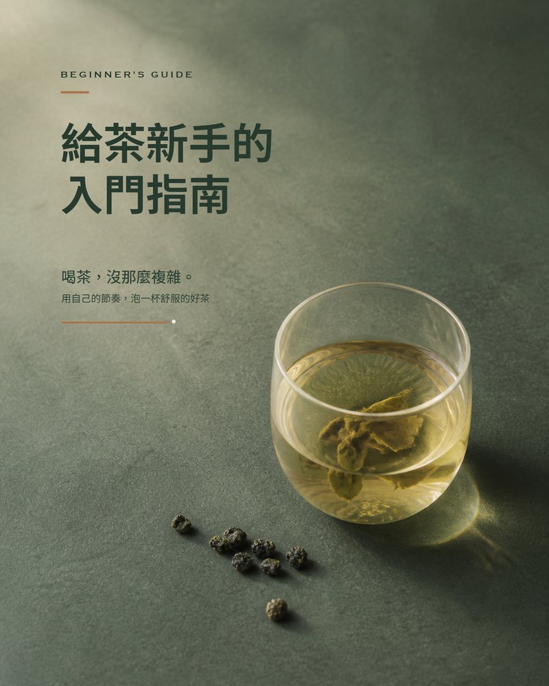 給茶新手的入門陪伴指南——文章封面